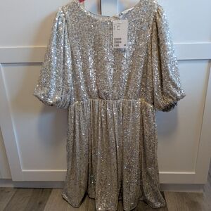H&M Girls Shimmering Silver Sequin Dress